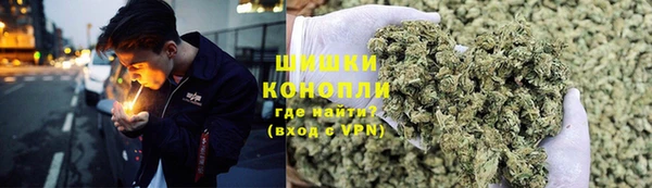 бошки Нея