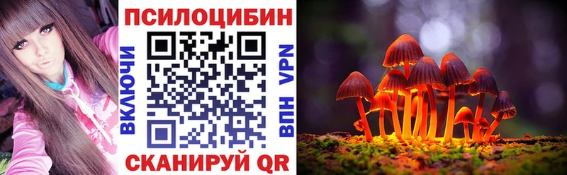 где купить наркоту  Торжок  Галлюциногенные грибы Psilocybine cubensis 